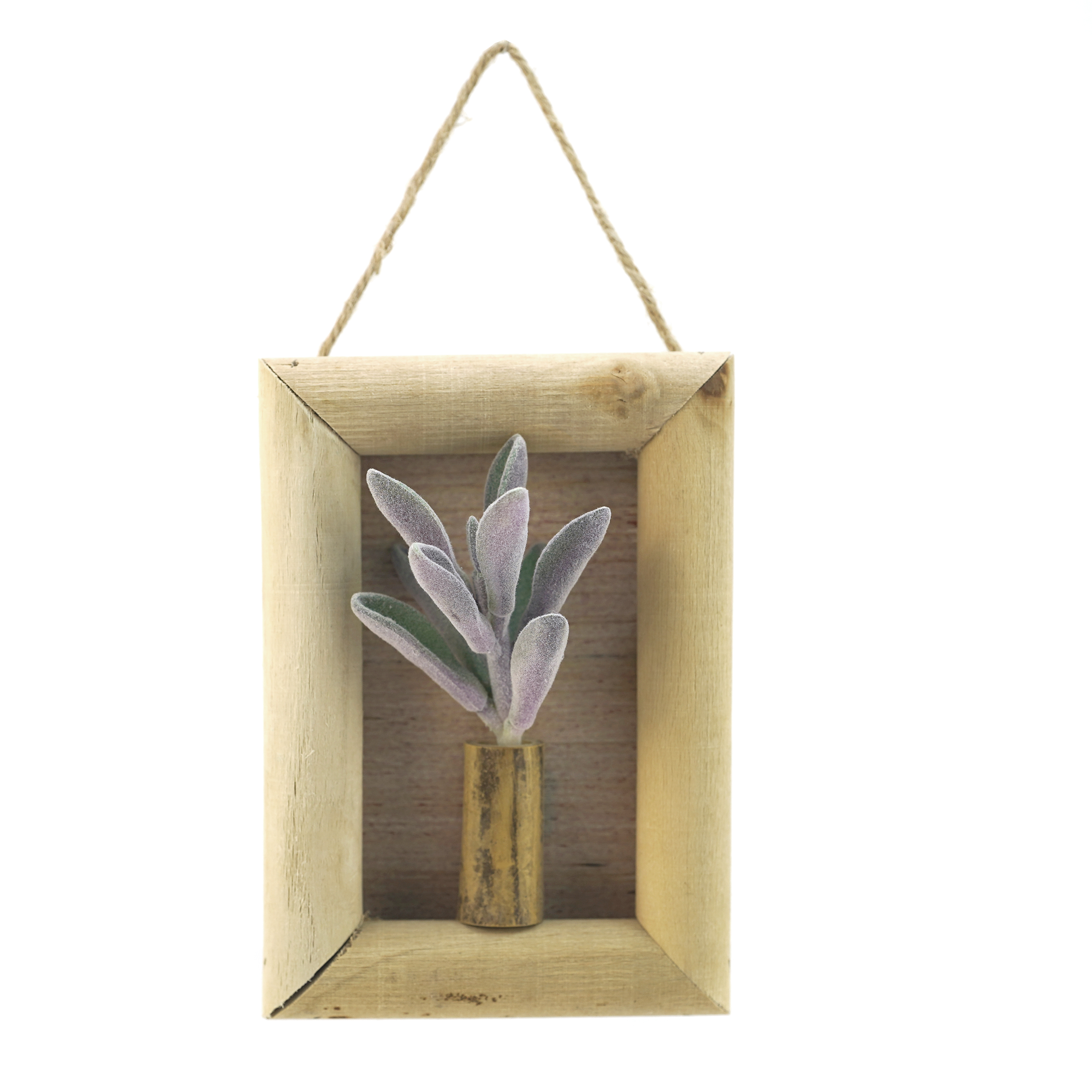 Boquetx Artificial Succulent Plant Peperomia graveolens ruby in Wall Hanging Frame 5.7" x 4" x 1"