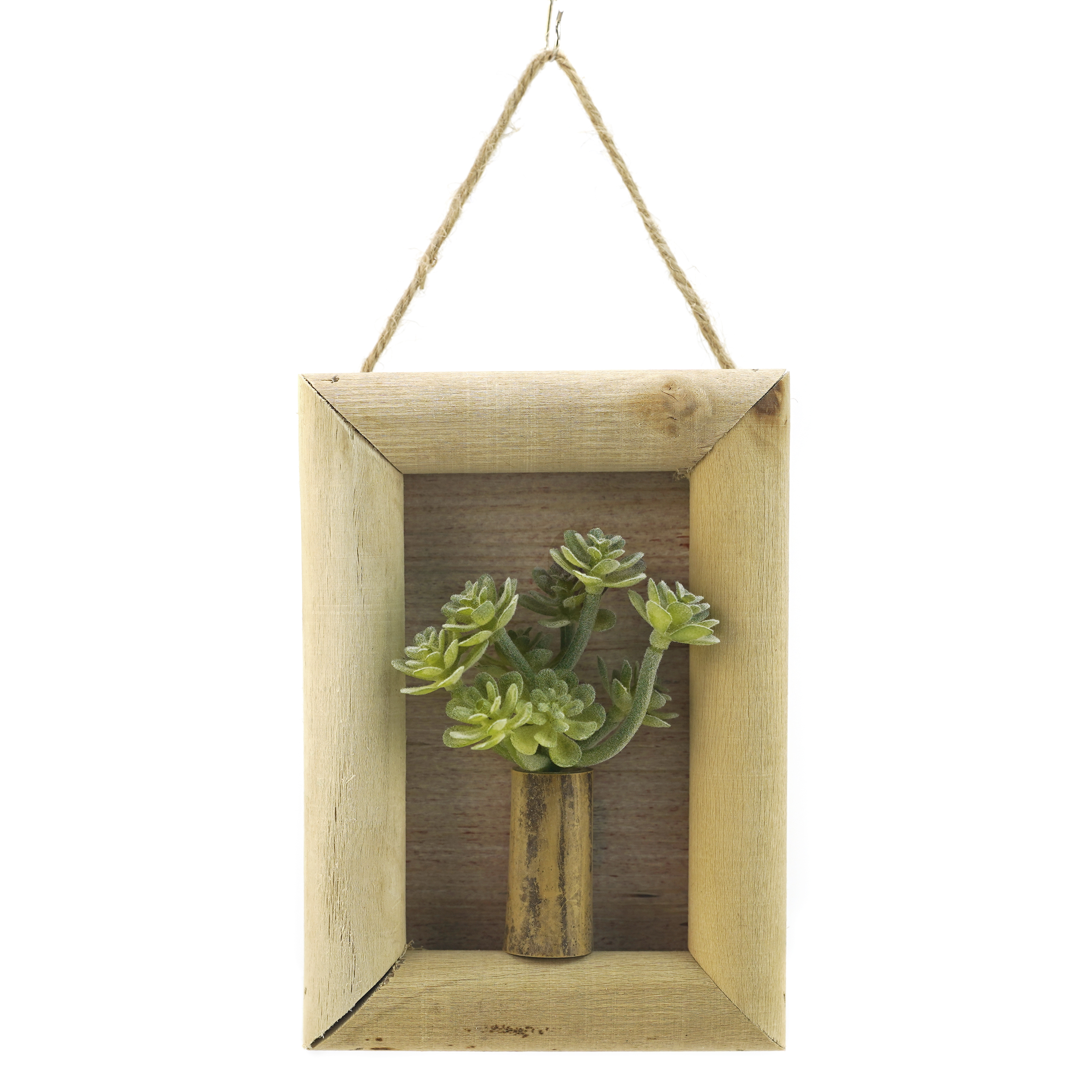 Boquetx Artificial Succulent Plant Sedum pachyphyllum in Wall Hanging Frame 5.7" x 4" x 1"