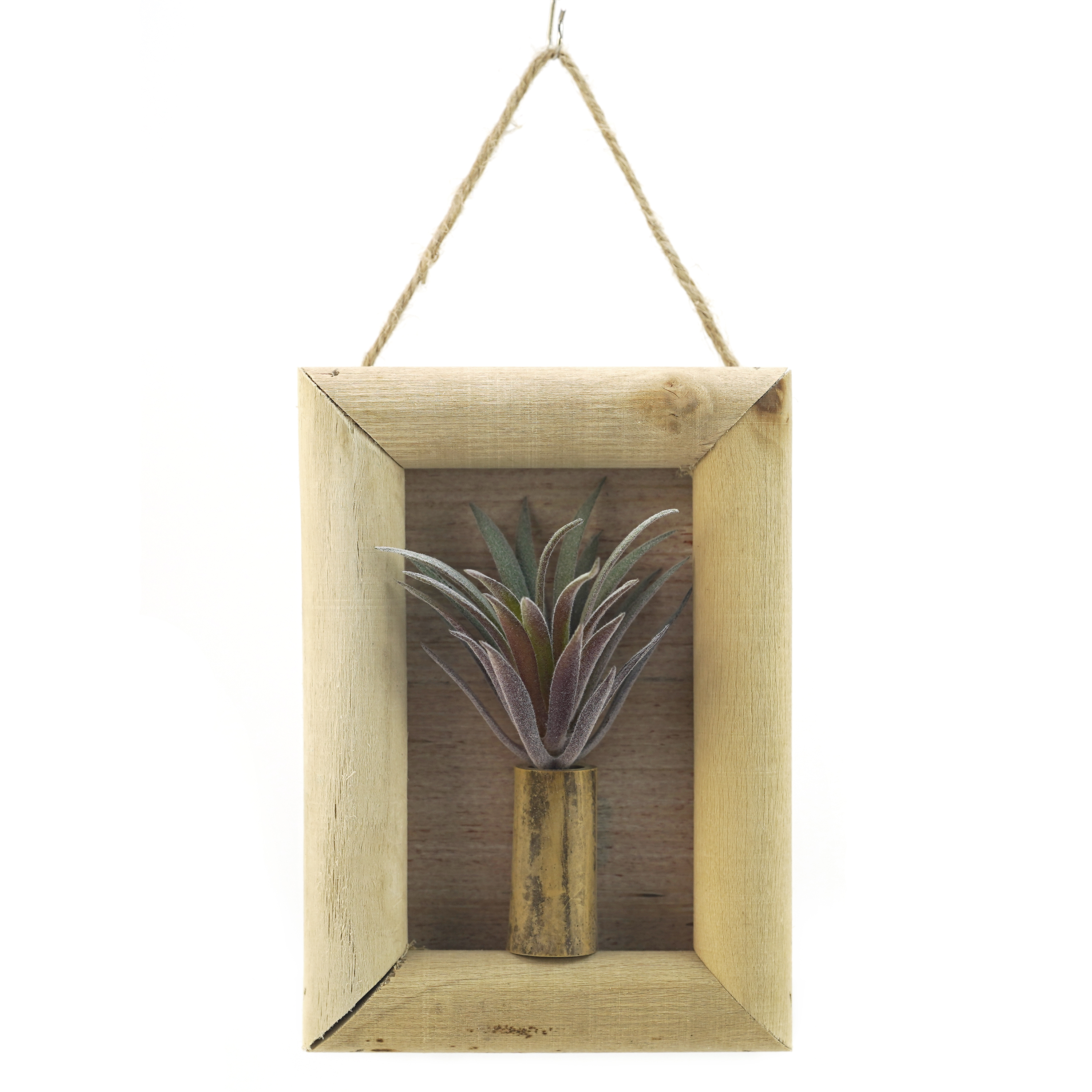 Boquetx Artificial Succulent Plant Tillandsia in Wall Hanging Frame 5.7" x 4" x 1"