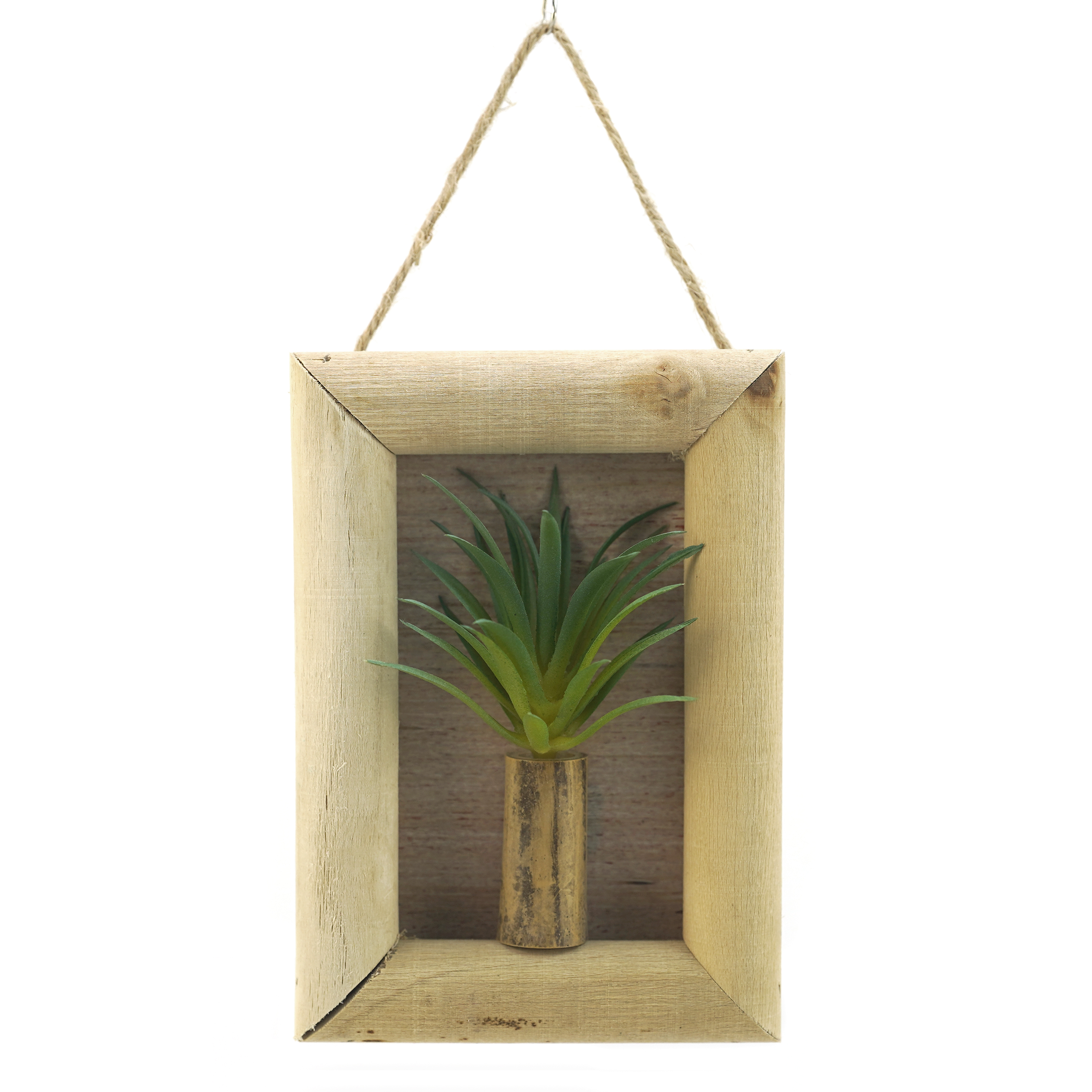 Boquetx Artificial Succulent Plant Green Tillandsia in Wall Hanging Frame 5.7" x 4" x 1"
