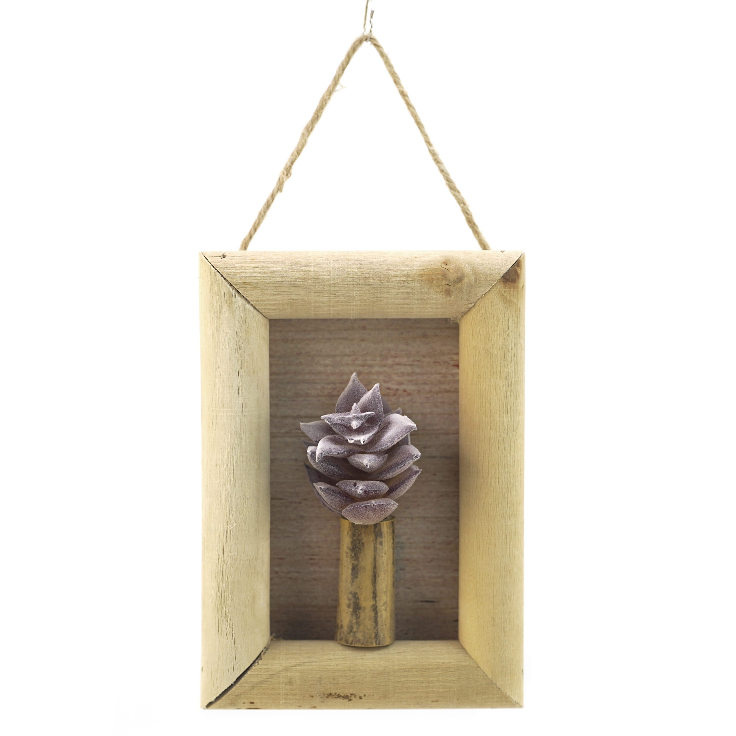 Boquetx Artificial Succulent Plant Graptosedum in Wall Hanging Frame 5.7" x 4" x 1"